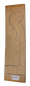 Preview: Set Back, Sides and Neck plank Curly Maple for Cello Unique Piece #013